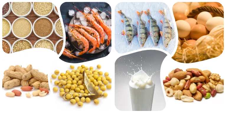 过敏